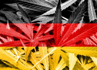 Legalizacija konoplje: Nemčija slavi, kaj pa Slovenija? Legalizacija konoplje v Nemčiji