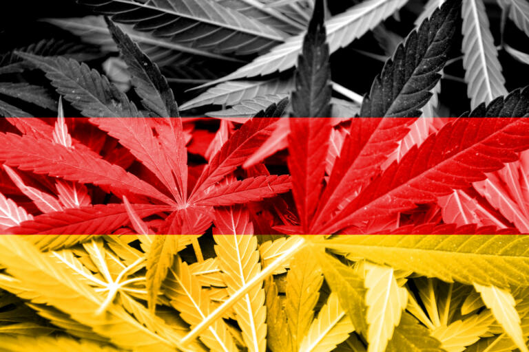 Legalizacija konoplje: Nemčija slavi, kaj pa Slovenija?