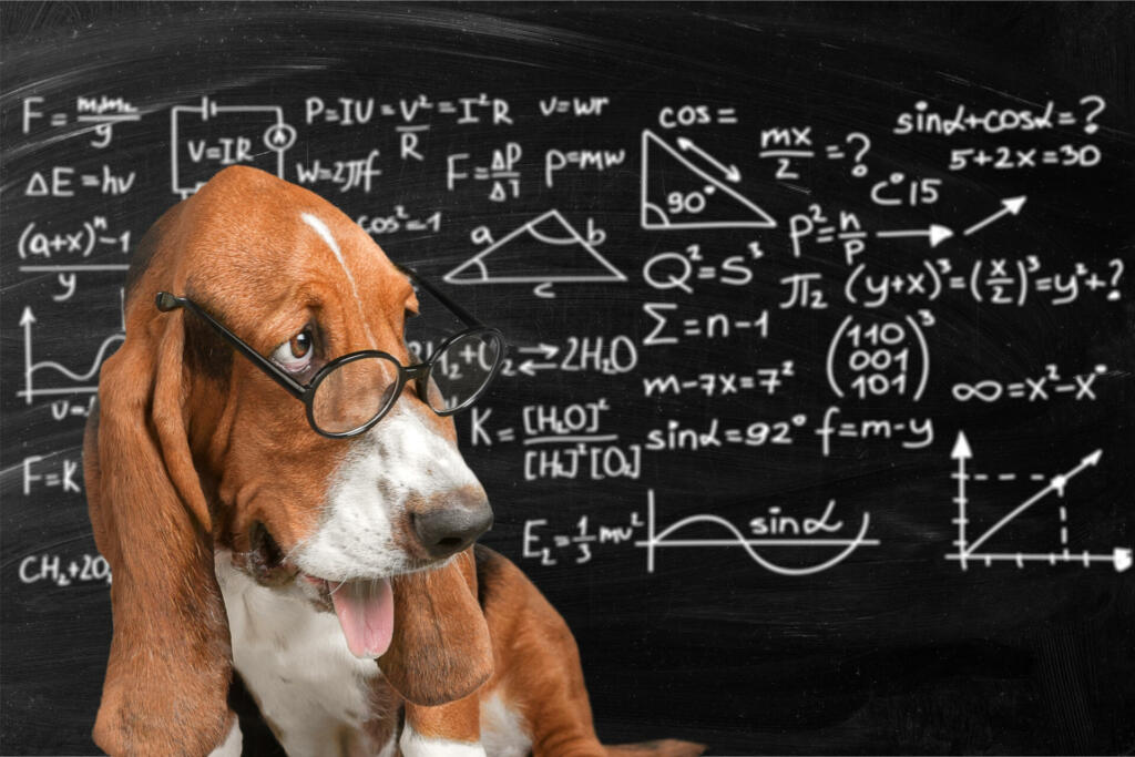 Math dog crazy glasses academic animal blackboard