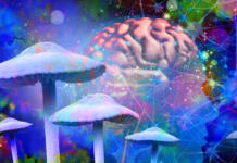Obredne droge, duševni preporod ali izgovor za trip? Psihedelične droge, resnica ali laž?