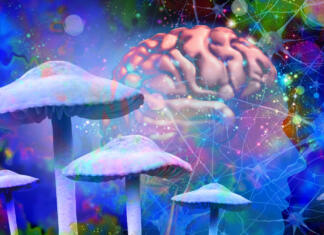 Obredne droge, duševni preporod ali izgovor za trip? Psihedelične droge, resnica ali laž?
