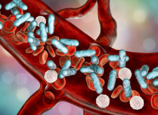 Kaj v našo kri privabi mikroskopske vampirje, ki povzročajo hude okužbe? Sepsis, bacteria in blood. 3D illustration showing rod-shaped bacteria with red blood cells and leukocytes