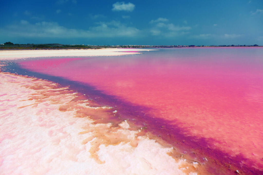 The salty shore of the Laguna Salada de Torrevieja.Spain. The water looks pink due to a special algae that grows in high levels of salt.