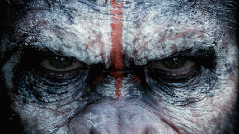 Planet opic: Filmi kot prikaz družbenih težav