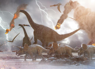 Paleontologi odkrili sesalca, ki je nasledil dinozavre po njihovem izumrtju concept destruction of dinosaurs by a falling
meteorite, 3d render