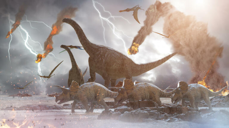 Paleontologi odkrili sesalca, ki je nasledil dinozavre po njihovem izumrtju