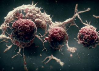 Kaj so HPV virusi? nas