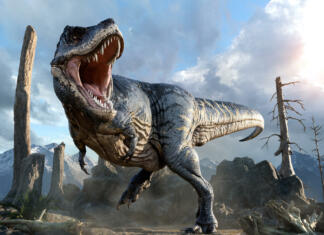 Kako pametni so bili dinozavri? Kot kokoši, krokodili ali celo ljudje Tyrannosaurus from the Cretaceous era 3D illustration