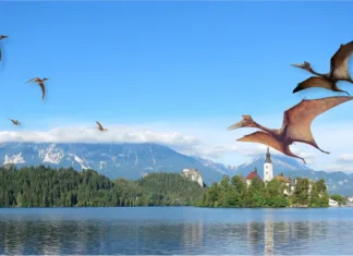 Dinozavri v Sloveniji, so ali niso? Dinozavri v Sloveniji