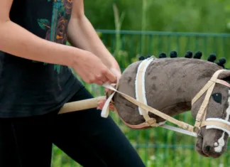 Kaj je Hobbyhorsing – trend, bizarnost ali šport? Kaj je hobbyhorsing?