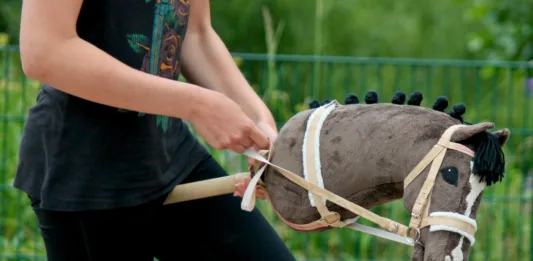 Kaj je hobbyhorsing?
