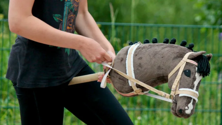 Kaj je Hobbyhorsing – trend, bizarnost ali šport?