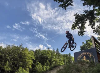 Intervju z Mojco Cvirn: »Ideje, kako otrokom približati ta medij, sem želela deliti tudi s širšo javnostjo.« 1