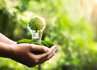 Manj škodljive alternative gorivu, koliko jih poznaš? Alternative gorivu