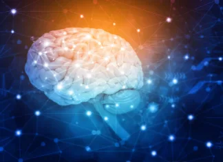 Kaj je sinhronizacija možganov? Izvedite, kako delujejo možgani Human brain with signal network. 3d illustration