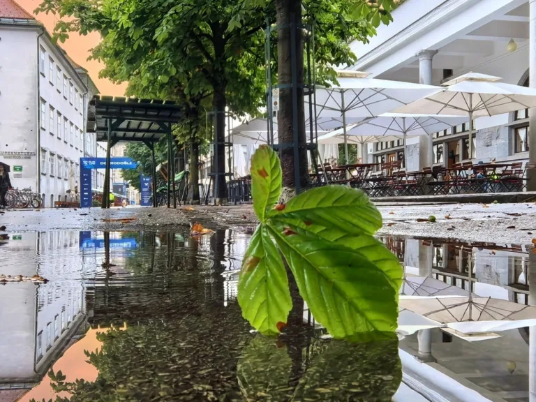 Kako je Huawei Pura 70 Pro navdušil priznanega arhitekta?