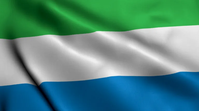 Evropski parlament Slovenijo zamešal s Sierra Leone, kakšne so lahko posledice?