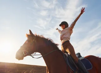 Si želiš postati jahač? Top 4 nasveti za dobrega jahača Young woman in protective hat with her horse in agriculture field at sunny daytime.