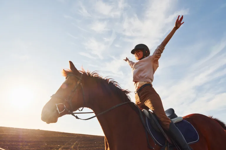 Young woman in protective hat with her horse in agriculture field at sunny daytime.