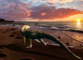 Nepričakovano odkritje nove vrste krokodila, ki je raziskovalce pustil odprtih ust Benggwigwishingasuchus eremicarminis, novoodkriti krokodil