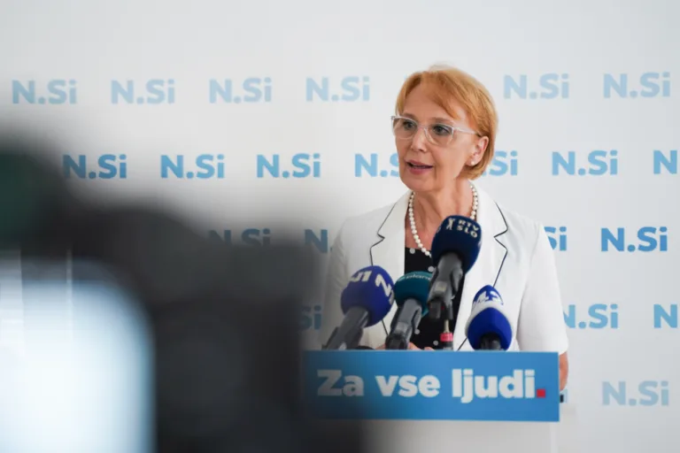 NSi zaradi romov zahteva hujše kazni za mladoletnike
