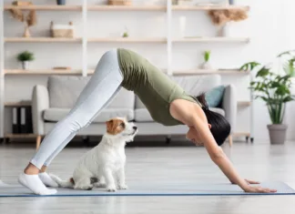 Lahko večerna vadba celo izboljša spanec? Nova raziskava je obrnila stvari na glavo Athletic asian young woman doing yoga with her adorable loyal red and white doggy at home, chinese lady standing in downward dog pose, jack russel puppy sitting by owner on fitness mat, side view