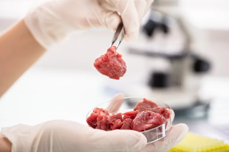 Kriza ali rešitev? Cena laboratorijsko vzgojenega mesa padla pod ceno pravega