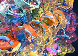 Odkrit največji protein v biologiji do tega trenutka Colorful chain of amino acids or bio molecules called proteins - 3d illustration