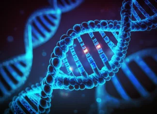 Odkrili žival z najdaljšim genskim zapisom v zgodovini DNA structure,Human cell biology DNA strands molecular structure ,Science background ,3D illustration