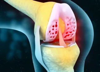 Preboj v regeneraciji hrustanca: Obeta se revolucija v zdravljenju sklepov Human knee joint anatomy, knee joint pain on isolated background. 3d illustration