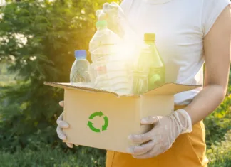 Steklena ali plastična embalaža, katera je bolj »zelena«? Odgovor preseneča plastic bottles into a box for recycling concept