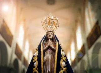 Teh dejstev o Marijinem vnebovzetju še niste vedeli Statue of the image of Our Lady of Aparecida, mother of God in the Catholic religion, patroness of Brazil