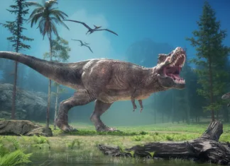 V Aziji odkrili novo vrsto tiranozavra Tyrannosaurus in forest. This is a 3d render illustration