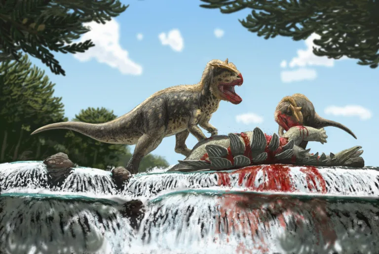 Odkritje nove vrste mesojedega dinozavra