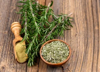Rožmarin: Kje pride rožmarin najbolj do izraza? A wooden bowl filled with whole dried rosmary, a spice shovel with ground rosemary and two rosemary twigs on a rustic wooden background