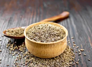 Vodič po začimbah: kumina Cumin seeds in a bowl, spoon and on table against the background of wooden board