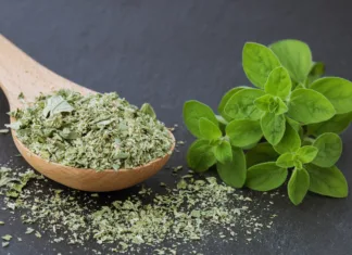 Vodič po začimbah: majaron Dried marjoram on a black background, fresh marjoram o oregano leaves, close up. Macro. Food background
