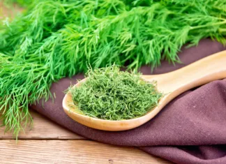 Koper, nasveti za uporabo začimbe Dry dill in a spoon on a napkin, fresh herb on the background of an old wooden board