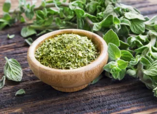 Vodič po začimbah: origano Fresh and dried oregano herb on wooden background