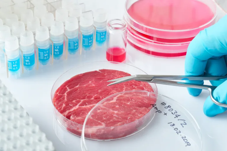 Ali nas bo laboratorijsko vzgojeno meso rešilo? Odgovore ima nova raziskava