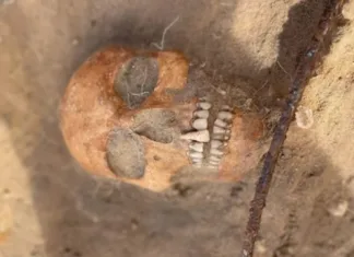 Na Poljskem rekonstruirali obraz 400-letne vampirke Rekonstrukcija obraza vampirke