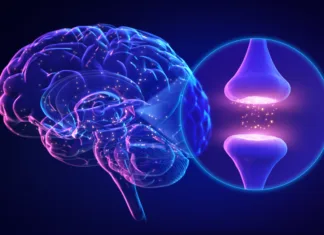 Preboj v razumevanju možganskih motenj Human brain neuron close-up, Neuroscience scientific concepts, Synapse medical background, 3D rendering.