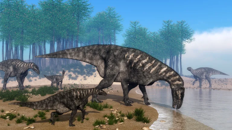 Odkrita nova vrsta dinozavra, ki je na tej polobli še ni bilo