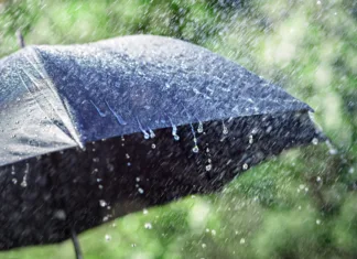 Kakšno bo vreme med krompirjevimi počitnicami? Rain on umbrella background, weather forecast and environmental concept