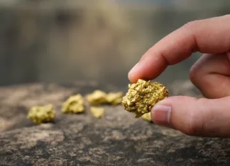 Kako nastane zlato? The pure gold ore found in the mine is in the hands of men.