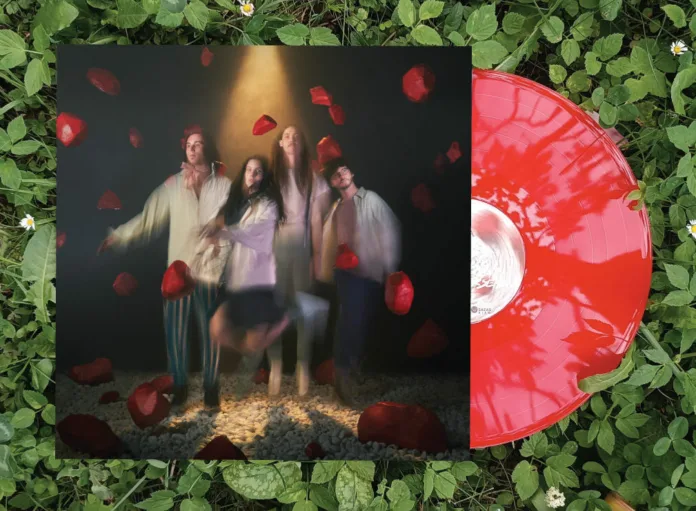 vinil1-e1716127960916 Koala Voice.
