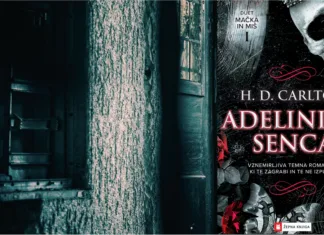Adelinina senca: Najbolj kontroverzna knjiga zadnjih let? Adelinina senca, recenzija