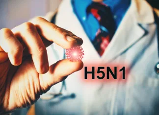 V pujsu najdena ptičja gripa: Znak za preplah? H5N1 Virus - Doctor hand holding a virus sample. Healthcare or medical concept