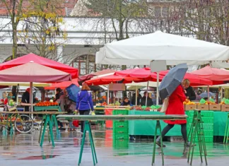 Končno! Prenova ljubljanske tržnice potrjena Plečnikova tržnica