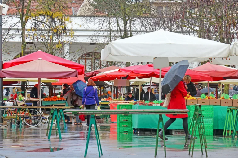 Končno! Prenova ljubljanske tržnice potrjena
